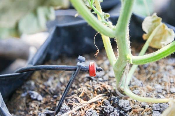 Drip System For Plants