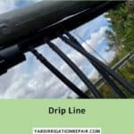 Drip Line