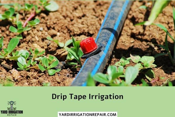 Drip Tape Irrigation