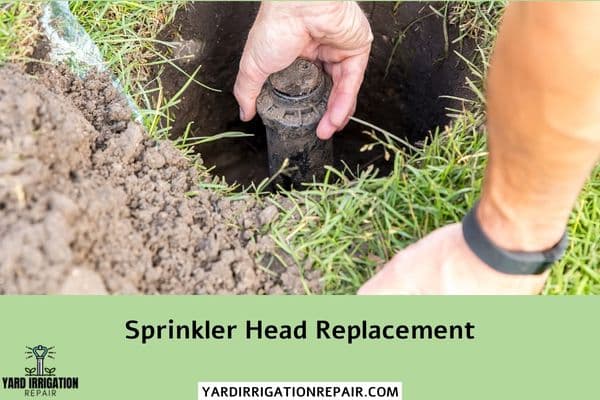Sprinkler Head Replacement